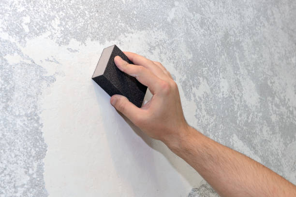 Environmental Consulting for Mold Prevention in California, MD