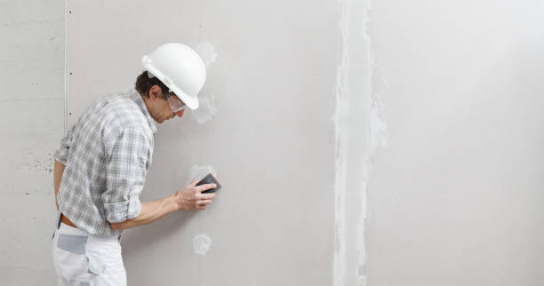 Best Mold Documentation for Insurance Claims  in California, MD
